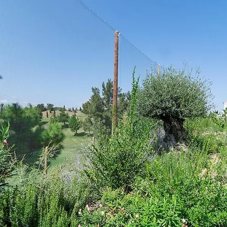 Dja- Modern 2 Bedroom Close To Διαμέρισμα Casares